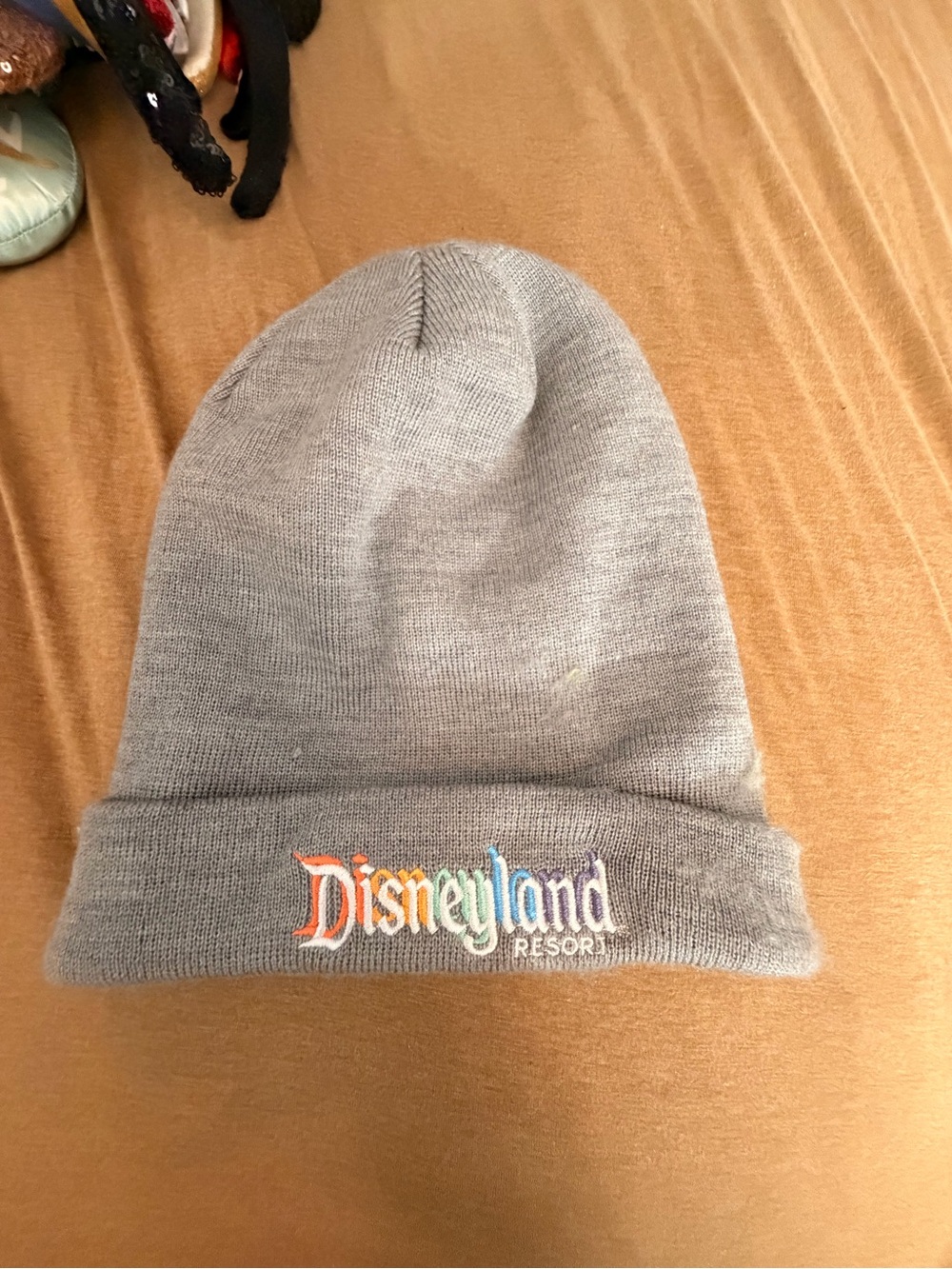Disney Resort Gray Beanie - Rainbow Logo